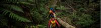 Entering the temperate rainforest on route to Bowens Creek Canyon |  <i>Wolter Peeters | SMH</i>