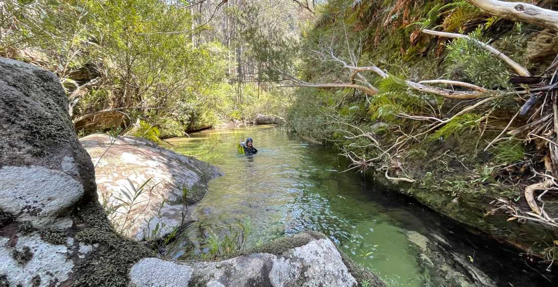 Du Faur Canyon is a wilderness wonder |  Andy Mein