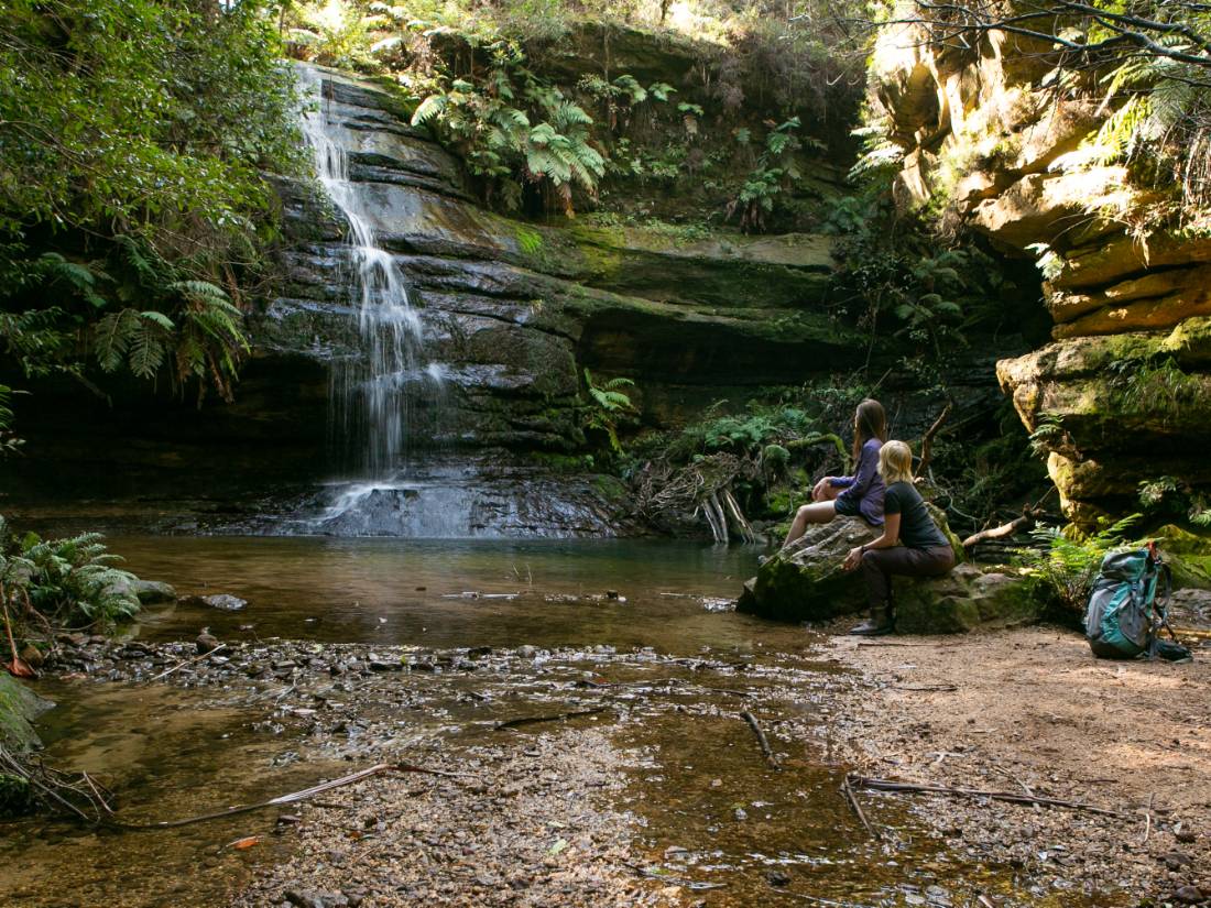 A tranquil rest spot on the Grand Cliff Top Walk in the Blue Mountains |  <i>Jannice Banks</i>